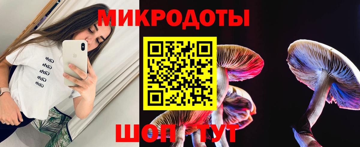 Реутов  Псилоцибиновые грибы мицелий  Вход с VPN 